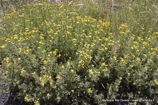 rra delle Concazze-05-08-2014 11-23-025